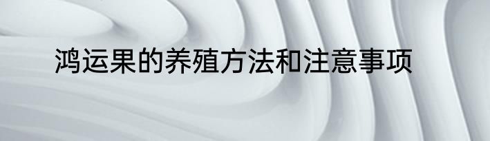 鸿运果的养殖方法和注意事项