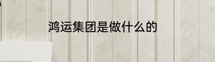 鸿运集团是做什么的