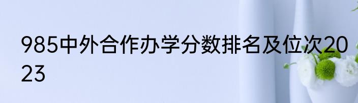 985中外合作办学分数排名及位次2023