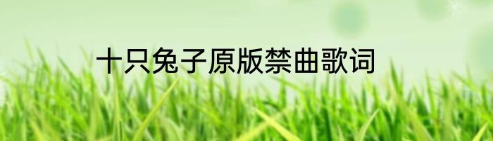 十只兔子原版禁曲歌词