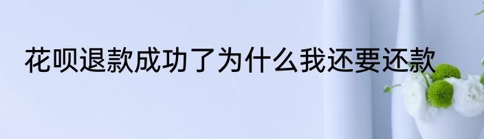 花呗退款成功了为什么我还要还款