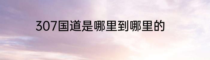 307国道是哪里到哪里的