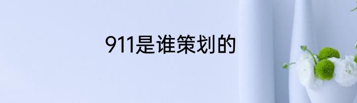 911是谁策划的