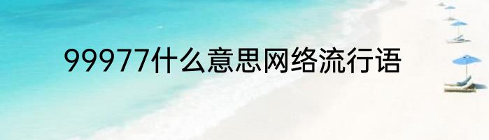99977什么意思网络流行语