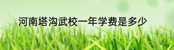 河南塔沟武校一年学费是多少