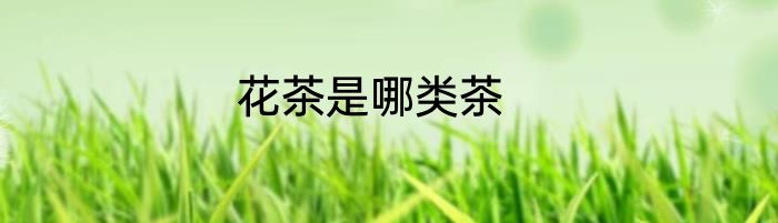 花茶是哪类茶