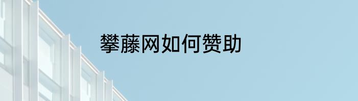 攀藤网如何赞助