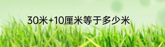 30米+10厘米等于多少米