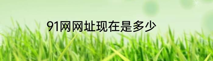 91网网址现在是多少