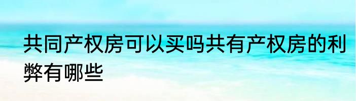共同产权房可以买吗共有产权房的利弊有哪些