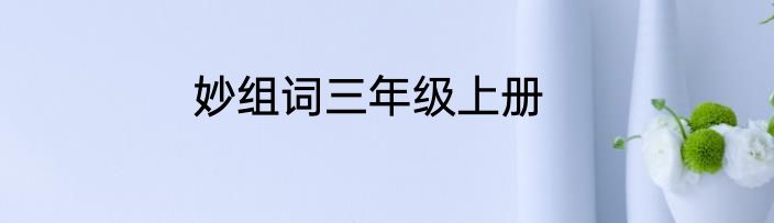 妙组词三年级上册