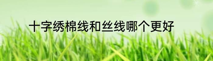十字绣棉线和丝线哪个更好