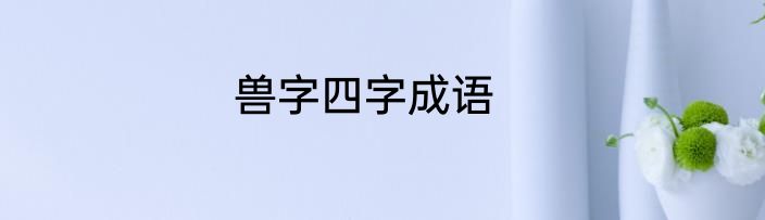 兽字四字成语