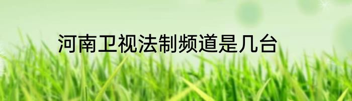 河南卫视法制频道是几台