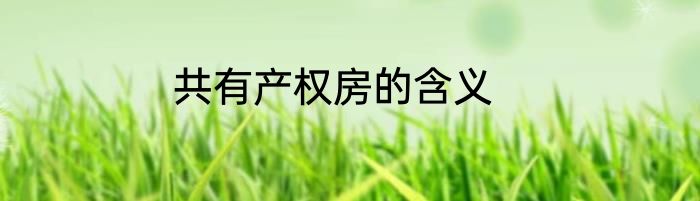 共有产权房的含义