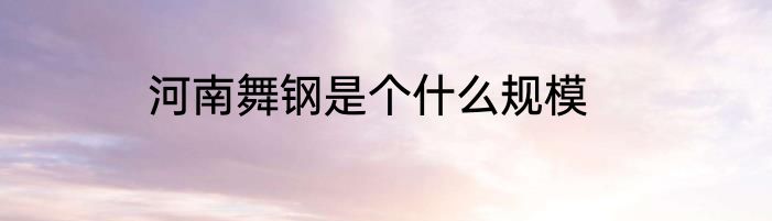 河南舞钢是个什么规模