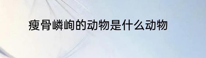 瘦骨嶙峋的动物是什么动物