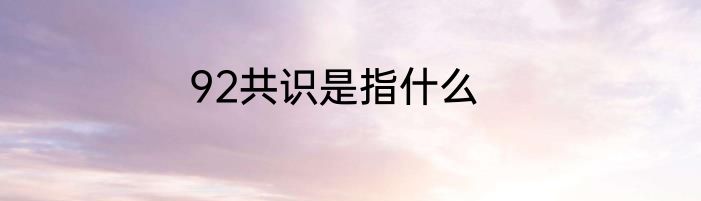 92共识是指什么