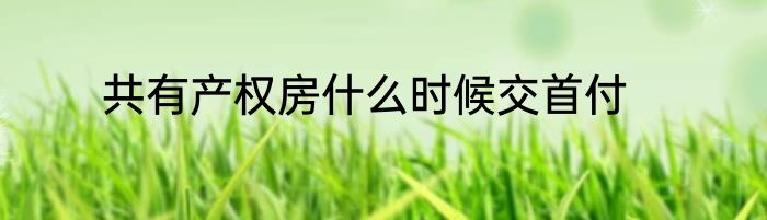 共有产权房什么时候交首付