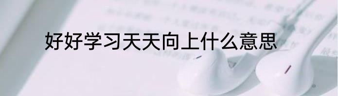 好好学习天天向上什么意思