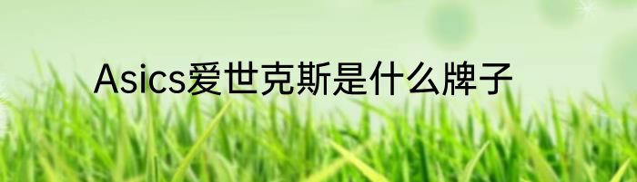 Asics爱世克斯是什么牌子