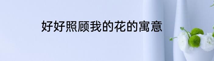 好好照顾我的花的寓意