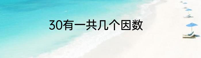 30有一共几个因数