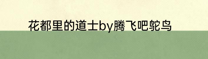 花都里的道士by腾飞吧鸵鸟