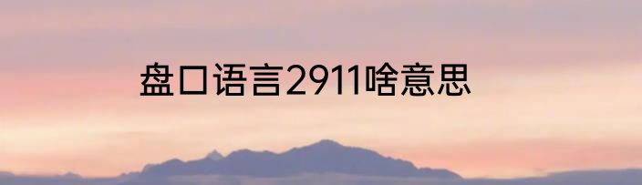 盘口语言2911啥意思