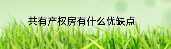 共有产权房有什么优缺点