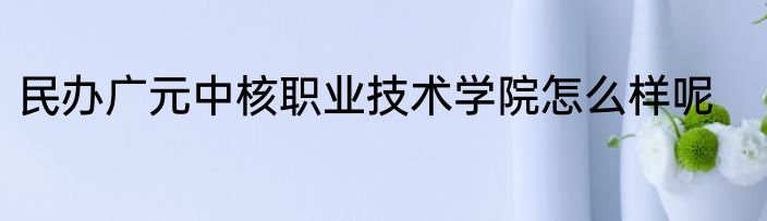 民办广元中核职业技术学院怎么样呢