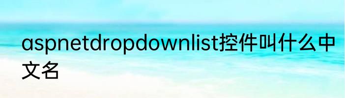 aspnetdropdownlist控件叫什么中文名