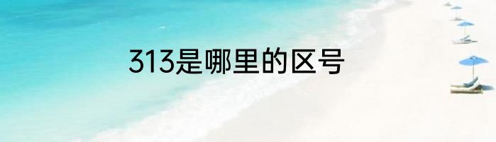 313是哪里的区号