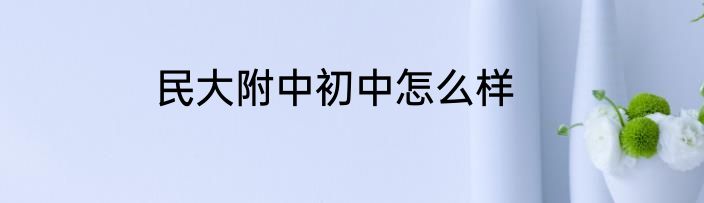 民大附中初中怎么样