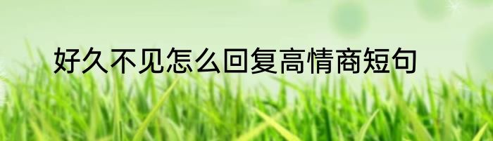 好久不见怎么回复高情商短句
