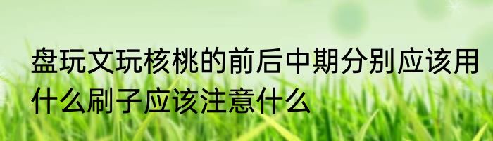 盘玩文玩核桃的前后中期分别应该用什么刷子应该注意什么