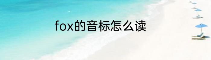 fox的音标怎么读