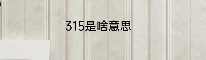 315是啥意思
