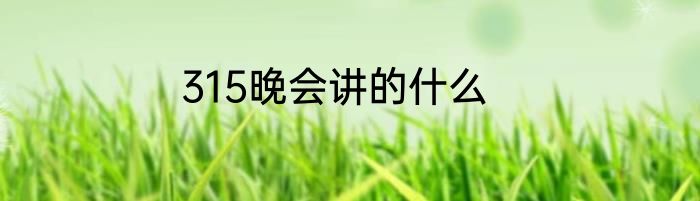 315晚会讲的什么