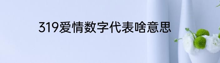 319爱情数字代表啥意思