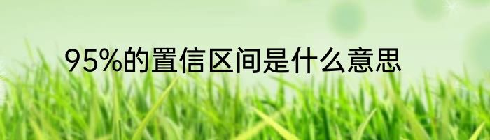 95%的置信区间是什么意思
