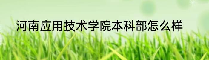 河南应用技术学院本科部怎么样