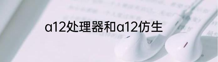 a12处理器和a12仿生