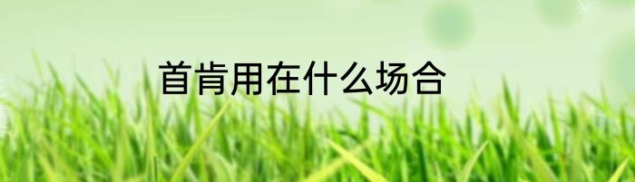 首肯用在什么场合