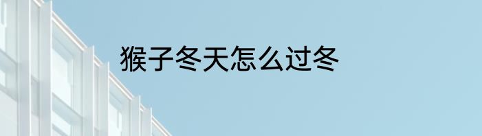 猴子冬天怎么过冬