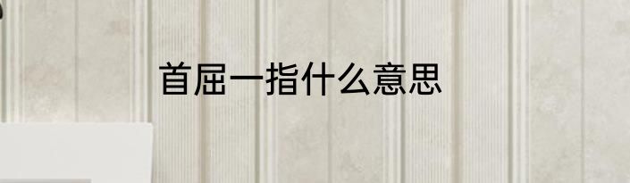 首屈一指什么意思