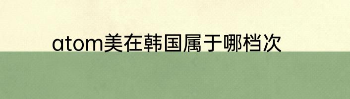 atom美在韩国属于哪档次