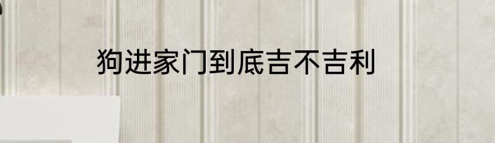 狗进家门到底吉不吉利