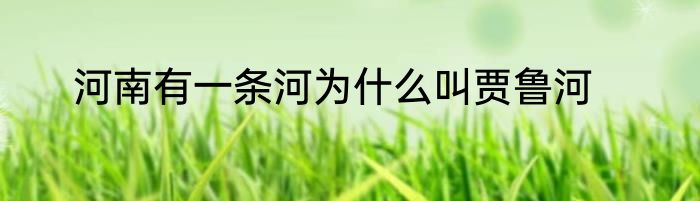 河南有一条河为什么叫贾鲁河