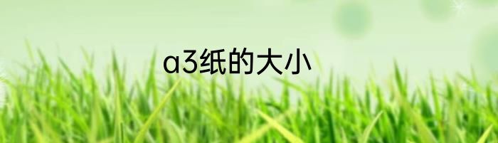 a3纸的大小